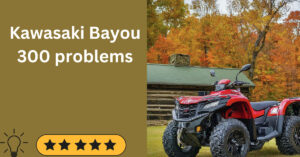 Kawasaki Bayou 300 common problems