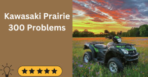 Kawasaki Prairie 300 Problems